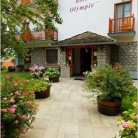 Hotel Olympic Μέτσοβο Εξωτερικό φωτογραφία