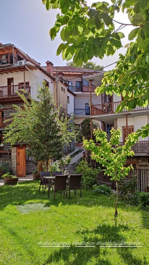 Hotel Olympic Μέτσοβο Εξωτερικό φωτογραφία