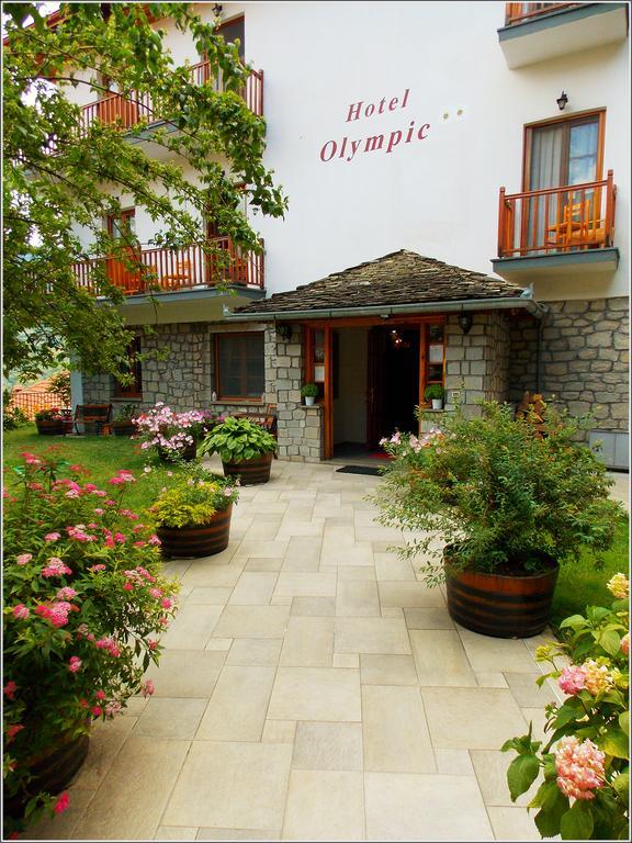 Hotel Olympic Μέτσοβο Εξωτερικό φωτογραφία