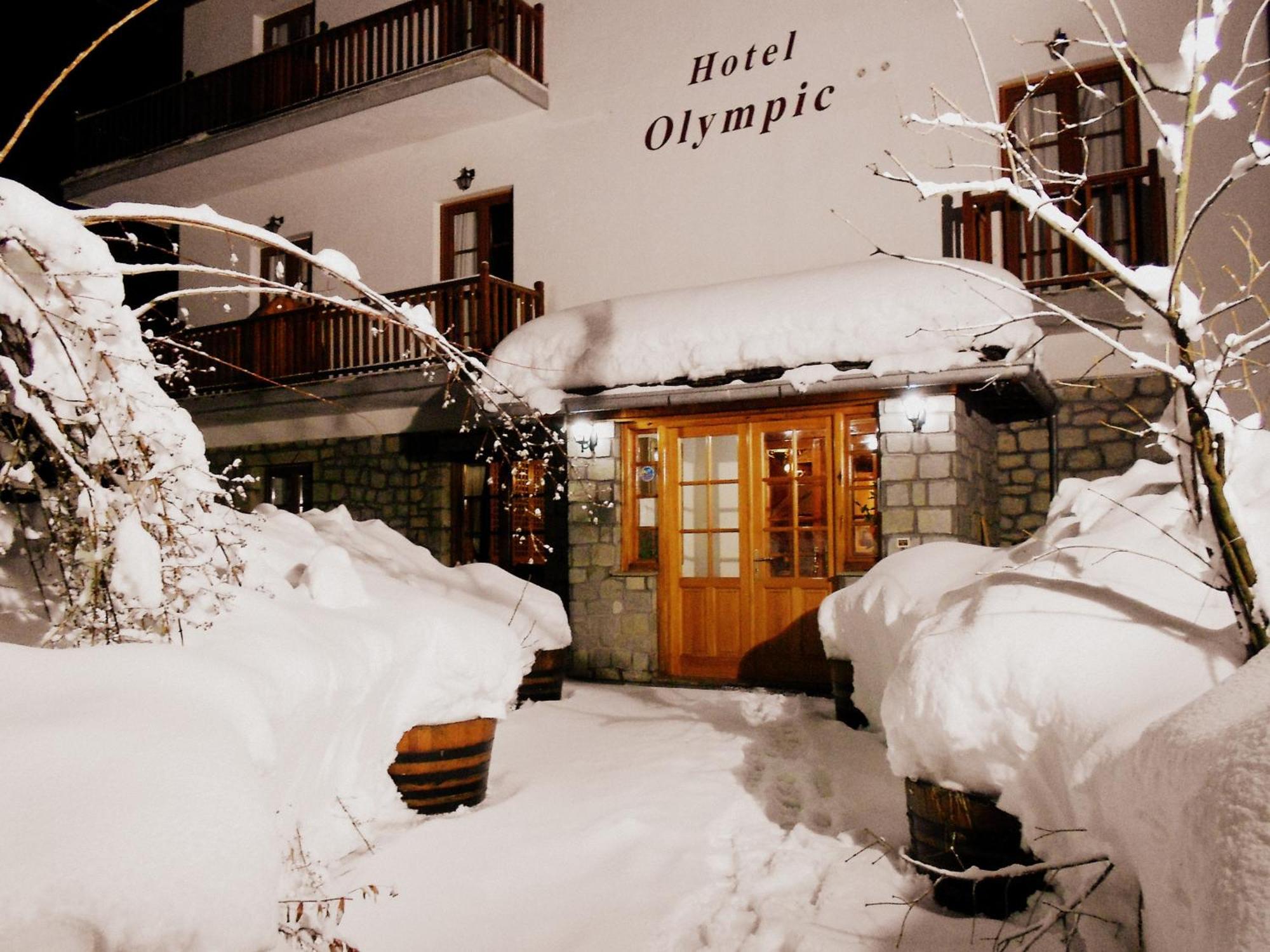 Hotel Olympic Μέτσοβο Εξωτερικό φωτογραφία