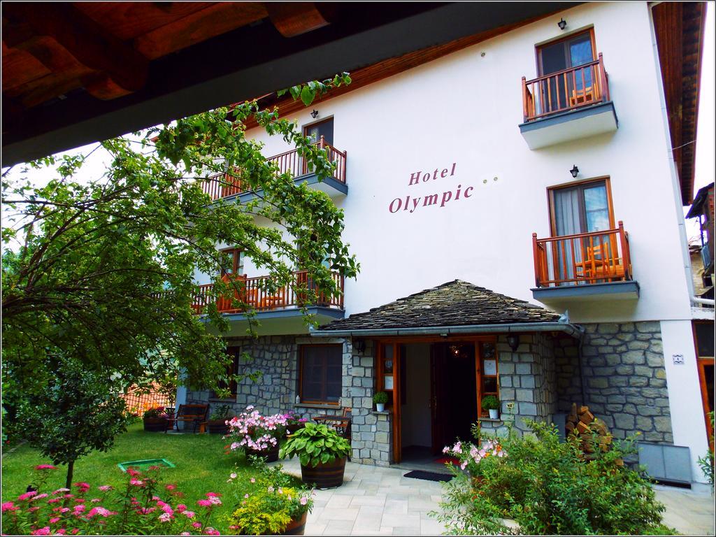 Hotel Olympic Μέτσοβο Εξωτερικό φωτογραφία